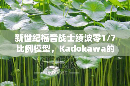 新世纪福音战士绫波零1/7比例模型，Kadokawa的杰作