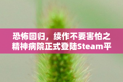 恐怖回归，续作不要害怕之精神病院正式登陆Steam平台