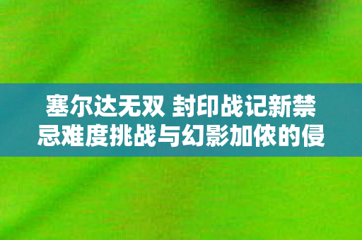 塞尔达无双 封印战记新禁忌难度挑战与幻影加侬的侵袭