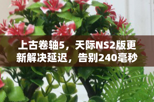 上古卷轴5，天际NS2版更新解决延迟，告别240毫秒延迟—历史性的进步！