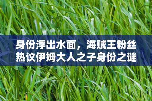 身份浮出水面，海贼王粉丝热议伊姆大人之子身份之谜