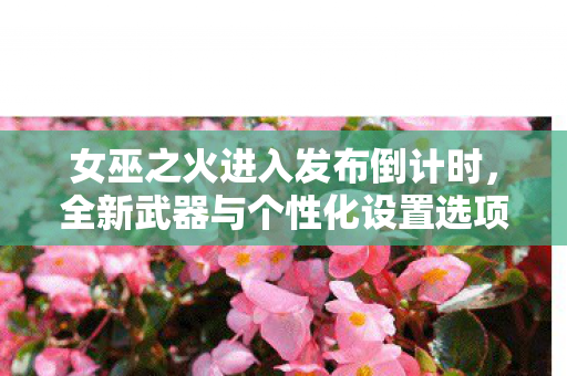 女巫之火进入发布倒计时，全新武器与个性化设置选项即将亮相