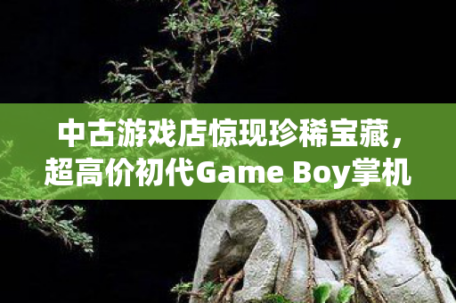 中古游戏店惊现珍稀宝藏，超高价初代Game Boy掌机拍卖价达2600元！