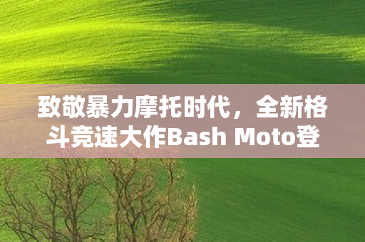 致敬暴力摩托时代，全新格斗竞速大作Bash Moto登陆Steam