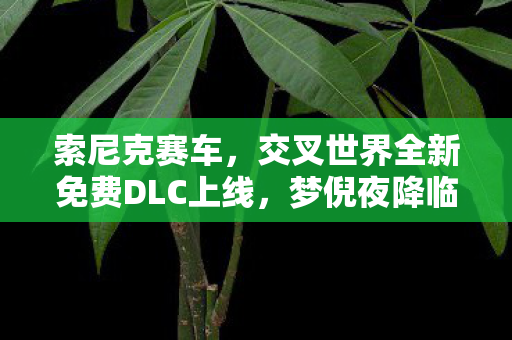 索尼克赛车，交叉世界全新免费DLC上线，梦倪夜降临，速度与激情再燃！