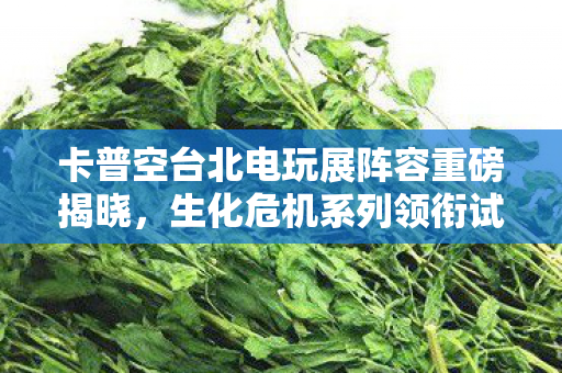 卡普空台北电玩展阵容重磅揭晓，生化危机系列领衔试玩，虚实万象引领未来游戏潮流