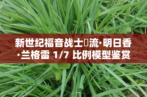 新世纪福音战士惣流·明日香·兰格雷 1/7 比例模型鉴赏