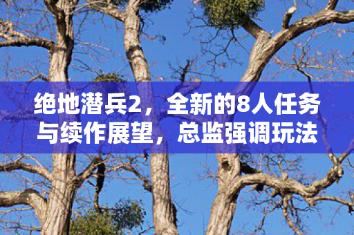 绝地潜兵2，全新的8人任务与续作展望，总监强调玩法拓展