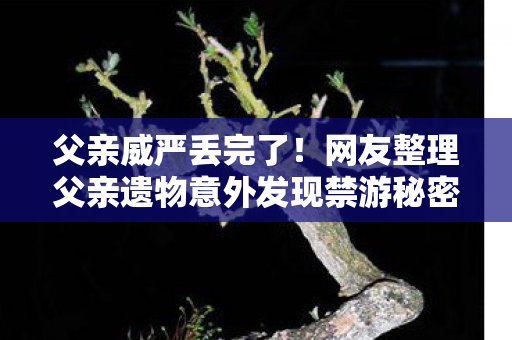 父亲威严丢完了！网友整理父亲遗物意外发现禁游秘密