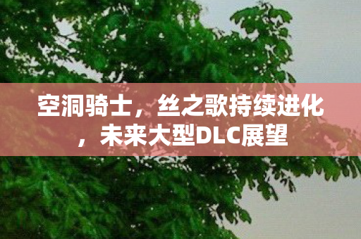 空洞骑士，丝之歌持续进化，未来大型DLC展望