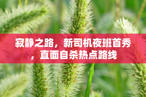 寂静之路，新司机夜班首秀，直面自杀热点路线