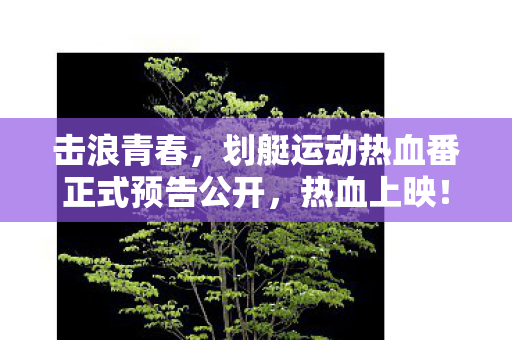 击浪青春，划艇运动热血番正式预告公开，热血上映！