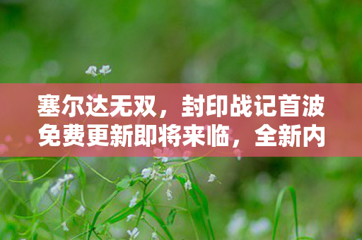 塞尔达无双，封印战记首波免费更新即将来临，全新内容11月底推送