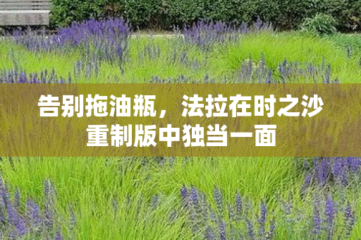 告别拖油瓶，法拉在时之沙重制版中独当一面