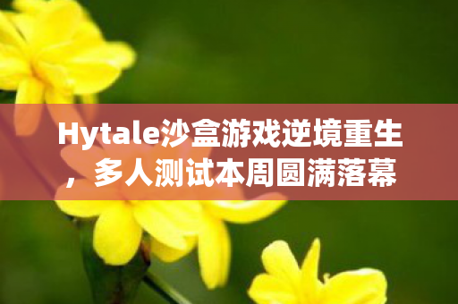 Hytale沙盒游戏逆境重生，多人测试本周圆满落幕