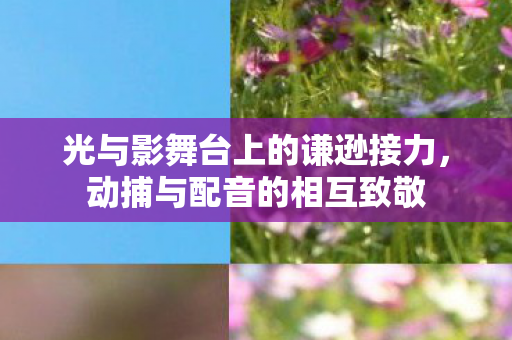 光与影舞台上的谦逊接力，动捕与配音的相互致敬