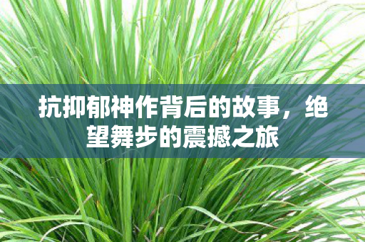 抗抑郁神作背后的故事，绝望舞步的震撼之旅