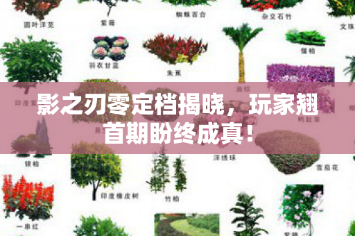 影之刃零定档揭晓，玩家翘首期盼终成真！