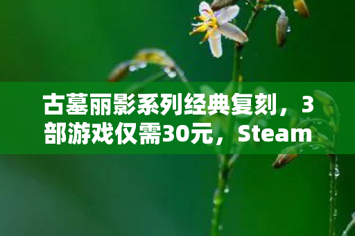 古墓丽影系列经典复刻，3部游戏仅需30元，Steam新史低特惠来袭！