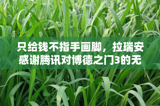 只给钱不指手画脚，拉瑞安感谢腾讯对博德之门3的无私支持