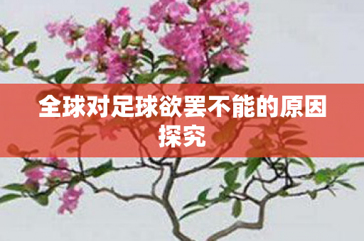 全球对足球欲罢不能的原因探究