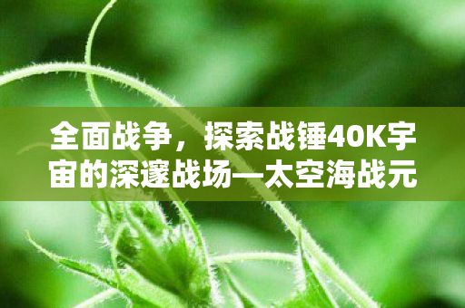 全面战争，探索战锤40K宇宙的深邃战场—太空海战元素的崭新篇章