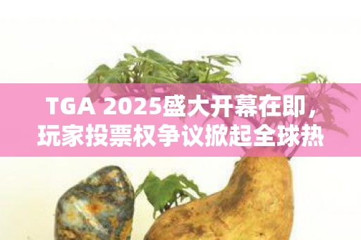 TGA 2025盛大开幕在即，玩家投票权争议掀起全球热议