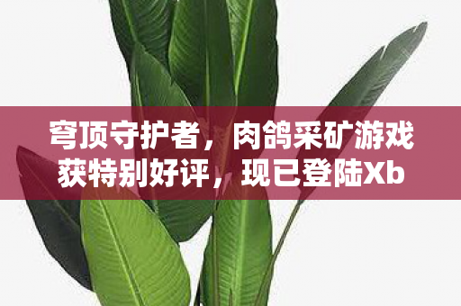 穹顶守护者，肉鸽采矿游戏获特别好评，现已登陆Xbox平台！