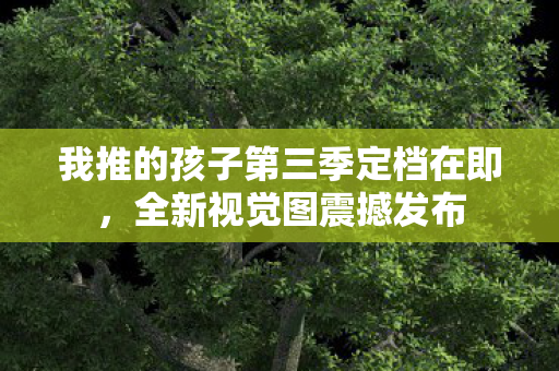 我推的孩子第三季定档在即，全新视觉图震撼发布