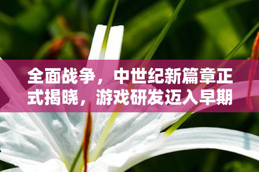 全面战争，中世纪新篇章正式揭晓，游戏研发迈入早期阶段