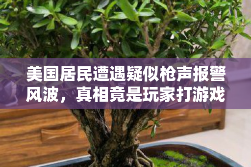美国居民遭遇疑似枪声报警风波，真相竟是玩家打游戏音量过大