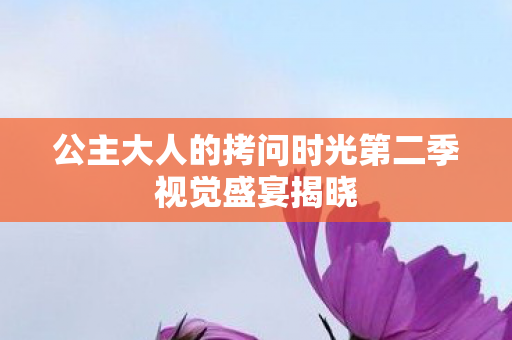 公主大人的拷问时光第二季视觉盛宴揭晓