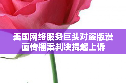 美国网络服务巨头对盗版漫画传播案判决提起上诉