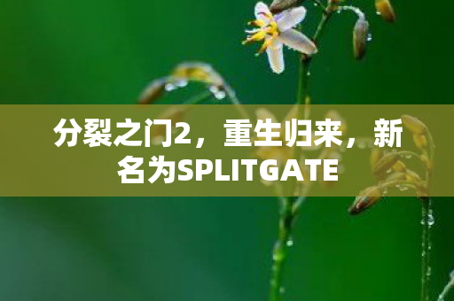 分裂之门2，重生归来，新名为SPLITGATE