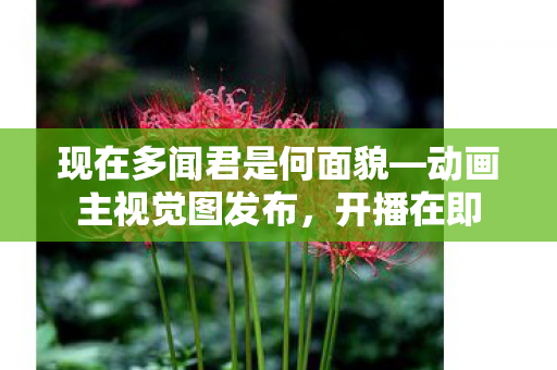 现在多闻君是何面貌—动画主视觉图发布，开播在即