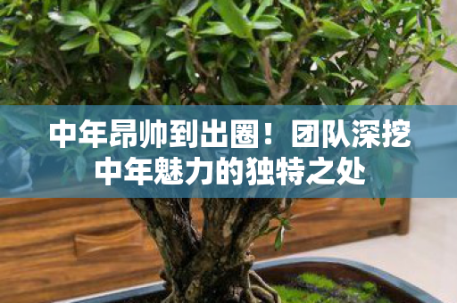 中年昂帅到出圈！团队深挖中年魅力的独特之处