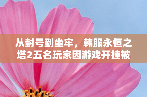 从封号到坐牢，韩服永恒之塔2五名玩家因游戏开挂被起诉