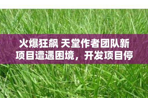 火爆狂飙 天堂作者团队新项目遭遇困境，开发项目停摆，开发人员遭遇解雇
