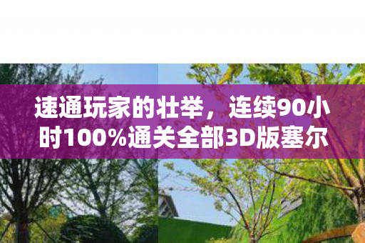 速通玩家的壮举，连续90小时100%通关全部3D版塞尔达传说传奇之旅