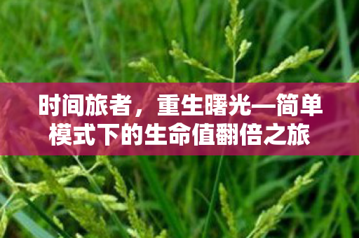 时间旅者，重生曙光—简单模式下的生命值翻倍之旅