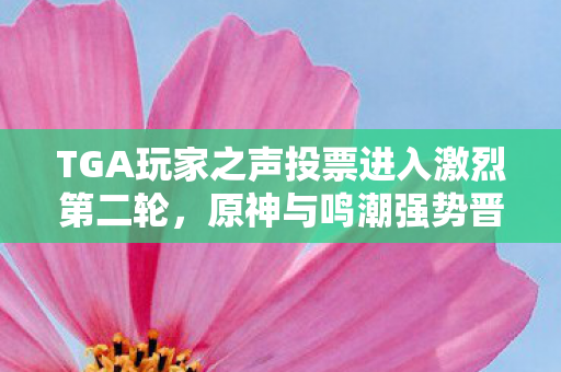 TGA玩家之声投票进入激烈第二轮，原神与鸣潮强势晋级！