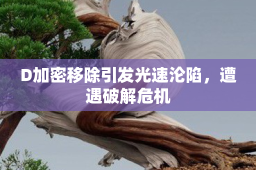 D加密移除引发光速沦陷，遭遇破解危机