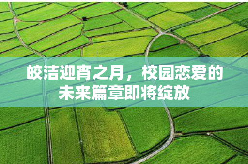 皎洁迎宵之月，校园恋爱的未来篇章即将绽放