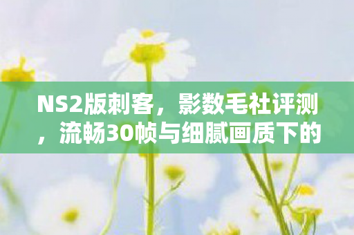NS2版刺客，影数毛社评测，流畅30帧与细腻画质下的视觉盛宴