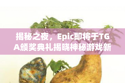 揭秘之夜，Epic即将于TGA颁奖典礼揭晓神秘游戏新作