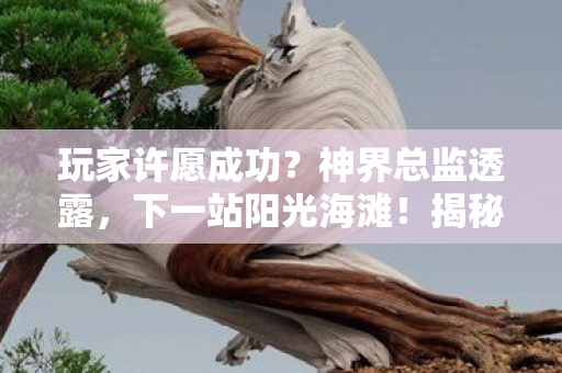 玩家许愿成功？神界总监透露，下一站阳光海滩！揭秘未来游戏新篇章