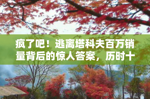 疯了吧！逃离塔科夫百万销量背后的惊人答案，历时十五载的漫长等待与超越时代的游戏创新