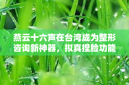 燕云十六声在台湾成为整形咨询新神器，拟真捏脸功能引热议
