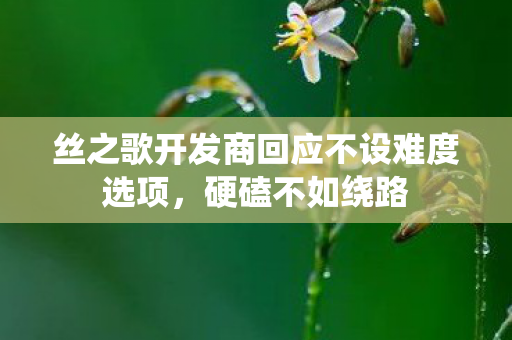 丝之歌开发商回应不设难度选项，硬磕不如绕路