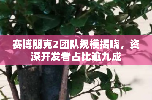 赛博朋克2团队规模揭晓，资深开发者占比逾九成